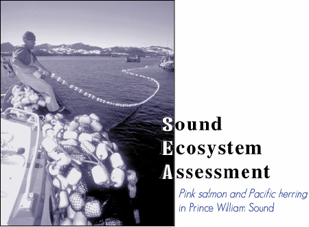 Sounds Ecosystem Assessment