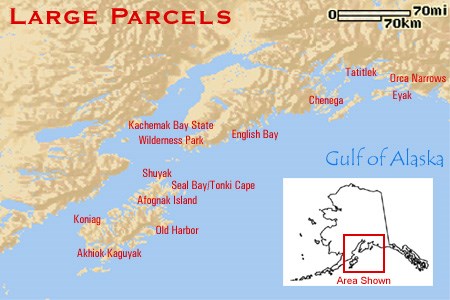 Large Parcel Map
