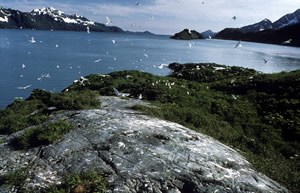 A view looking over Prince William Sound.