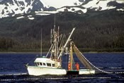 Commercial fishing vessel.