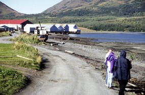 Exxon valdez, recommendations for future successful practices